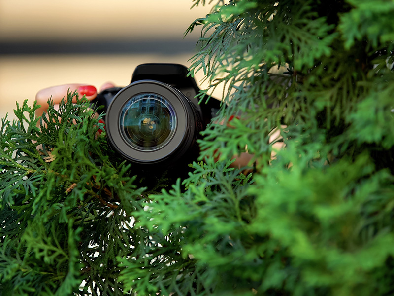 investigazioni coniugali per verificare sospetti